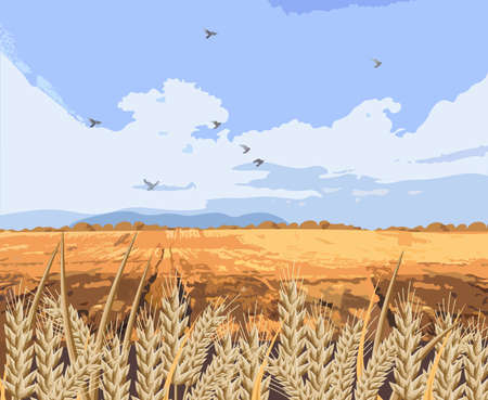 Wheat field Vector background. Beautiful fall season cardのイラスト素材