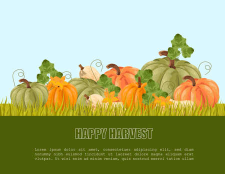 Pumpkins harvest Vector. autumn seasonal banner templateのイラスト素材