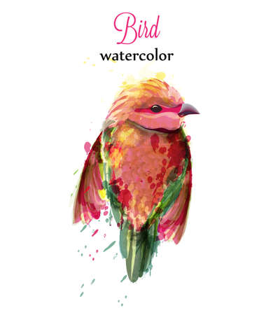Watercolor bird Vector. Colorful tropic painted styleのイラスト素材