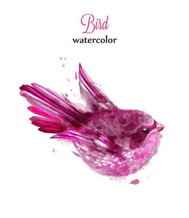 Small bird Colorful watercolor Vector. beautiful illustration painted styleのイラスト素材