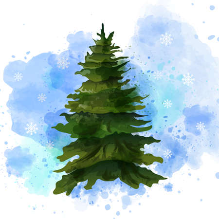 Fir tree Vector watercolor isolated on white. Template layout green Christmas tree without decorationsの写真素材