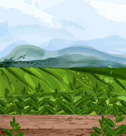 Green fields watercolor background Vector. Nature views. Organic eco fields designのイラスト素材