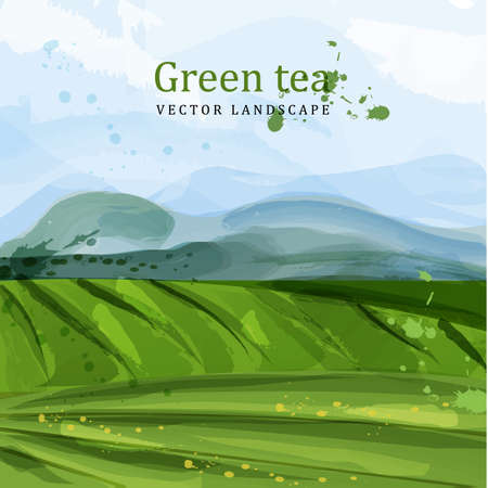 Green tea fields watercolorのイラスト素材
