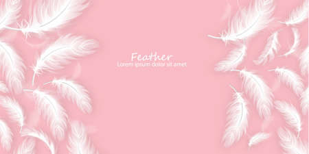 Feathers  realistic. White feathers on pink card templatesのイラスト素材