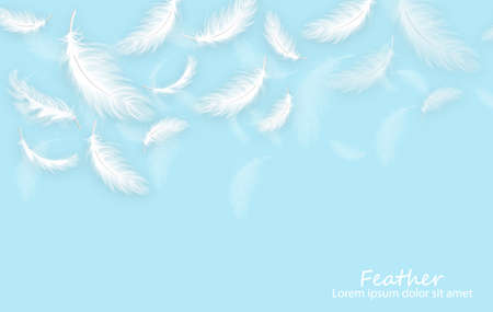 Feathers realistic. White feathers on blue card templatesのイラスト素材