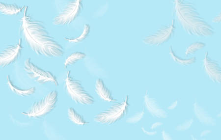 Feathers realistic. White feathers on blue card templatesのイラスト素材