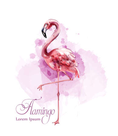 Flamingo in watercolor isolated Vector. Exotic bird cute poster templateのイラスト素材
