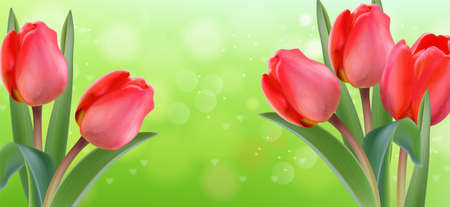 Pink tulip flowers on green bokeh background Vector realistic banner templateのイラスト素材