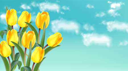 Yellow tulip flowers on sky background Vector realistic banner templates. Spring summer cardのイラスト素材