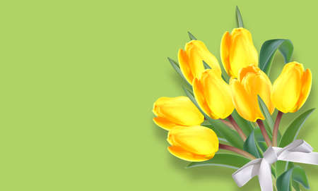 Yellow tulip flowers bouquet Vector realistic banner. Spring season template 3d illustrationのイラスト素材