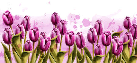 Pink tulips spring background Vector watercolor. Beautiful banner poster or invitationのイラスト素材