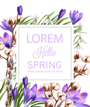Crocus and cotton flowers Vector watercolor. Spring season delicate frame. Template design card for wedding, birthday, mother dayのイラスト素材