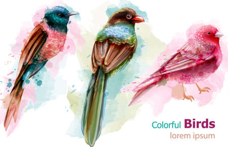 Colorful tropic birds watercolor Vector. Beautiful exotic set collectionのイラスト素材