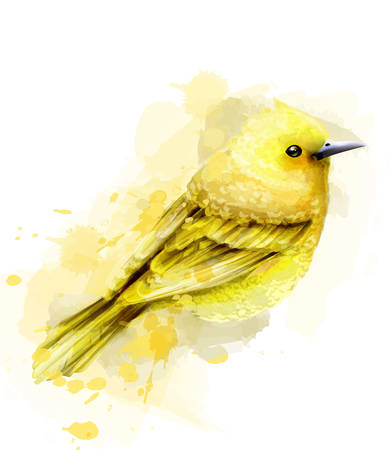 Cute yellow bird watercolor Vector isolated on white. Vintage designのイラスト素材