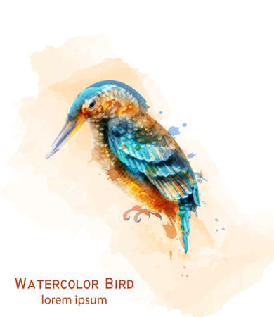 Kingfisher bird Vector watercolor. Colorful tropic bird isolated on whiteのイラスト素材