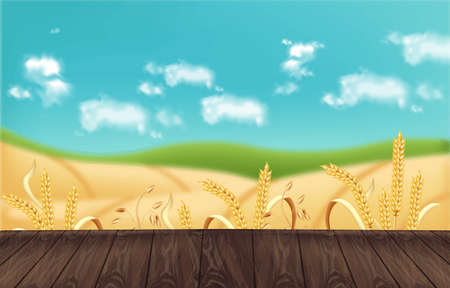 Oat fields Vector realistic background mockup. Wooden table template for product placementのイラスト素材