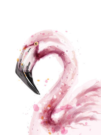 Flamingo watercolor Vector isolated. Exotic flamingo bird with palm leaves. Tropical summer decoration invitationのイラスト素材