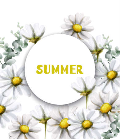 Chamomile summer card Vector watercolor. Vintage flowers white colors. Delicate frame decorのイラスト素材