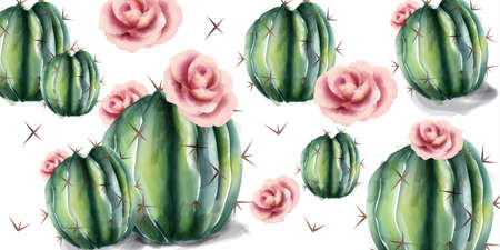Cactus and flowers pattern Vector watercolor. Succulent summer background