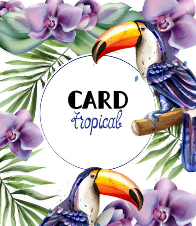 Toucan tropic card  watercolorのイラスト素材
