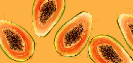 Papaya fruits Vector watercolor. Summer fresh juicy banner