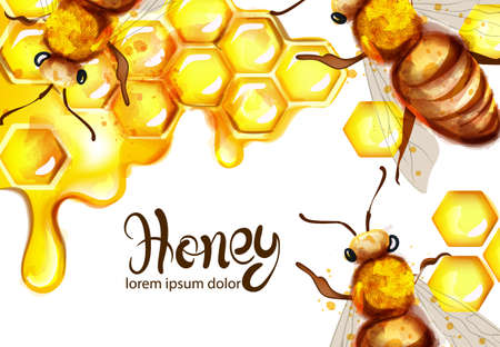 Honeycomb and bees  watercolor template.のイラスト素材