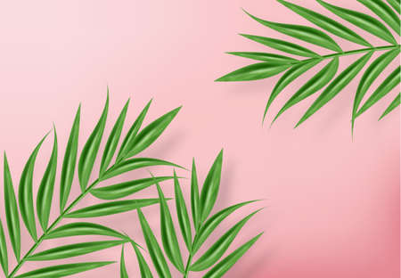 Tropic palm leaves Vector realistic background. Exotic summer card. Green fresh decorのイラスト素材