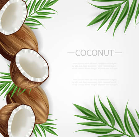 Coconut background Vector realistic. Layout template tropic exotic cardのイラスト素材