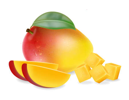 Mango fruit and slices isolated  realistic.のイラスト素材