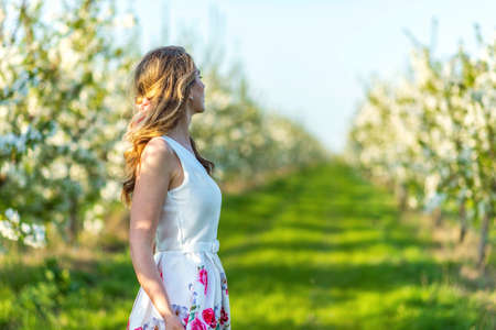 Woman in a blooming orchard at springtime. Enjoying sunny warm day.の写真素材