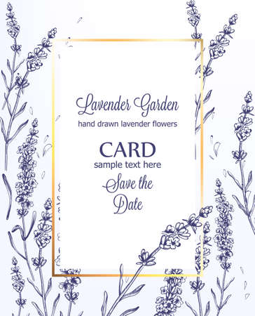 Lavender card Vector vintage line art. Provence floral decor hand drawn. Summer wedding ceremony delicate postersのイラスト素材