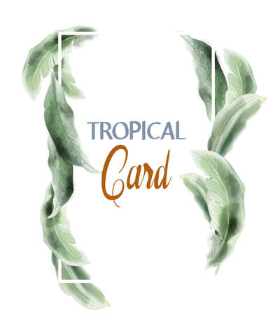 Green card leaves Vector watercolor. Summer round tropic botanical posterのイラスト素材