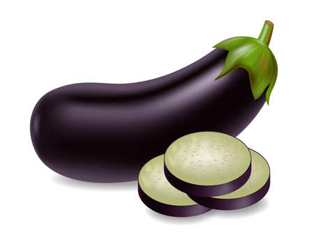 Eggplant vector realistic isolated on white 3d illustrationsのイラスト素材