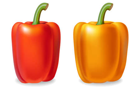 Pepper Vector realistic isolated on white 3d illustrationsのイラスト素材