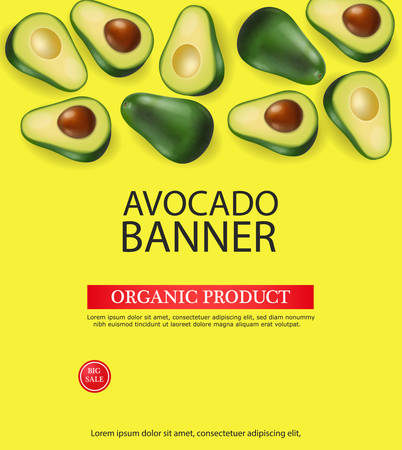Avocado banner vector realistic. Menu page template layout. 3d illustrationsのイラスト素材