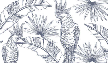 Parrot card  line art. Exotic palm leaves decorsのイラスト素材