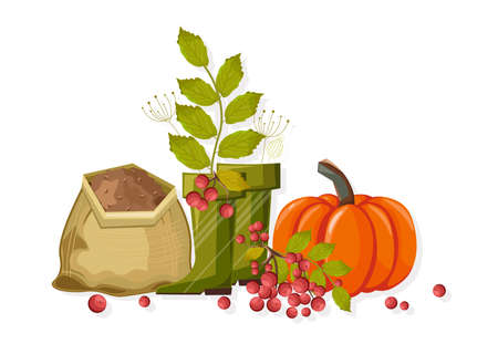 Set of autumn vegetables and gardening tools. Pumpkin, red berries, soil, green rubber boots for gardening. Agricultural vectorのイラスト素材