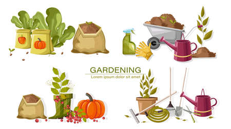 Set of autumn gardening tools. Watering can, pot with flower, hose, rake, shovel and scissors. Vegetable seeds, lettuce, spray and other. Vectorのイラスト素材