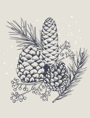 Conifer cones with fir tree leaves and berries. Snow falling. Christmas holiday sketch style vectorのイラスト素材
