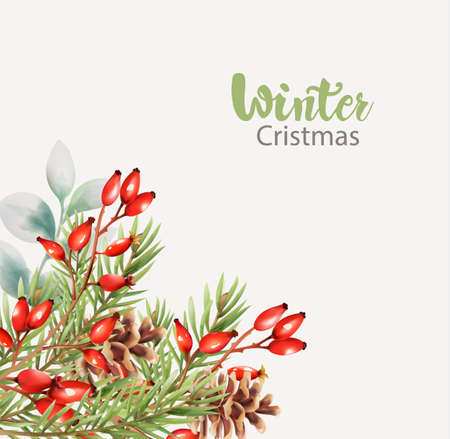 Winter christmas greeting card with flowers and berriesのイラスト素材