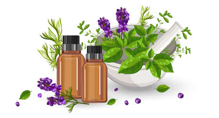 Eucalyptus essential oil bottle with dropperのイラスト素材