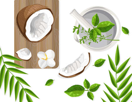 Coconut and mint leaves on wooden cutting boardのイラスト素材