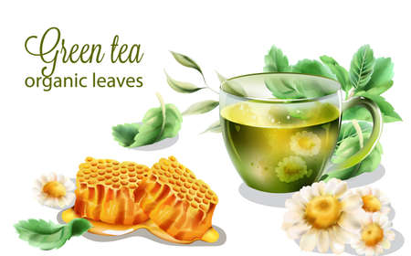 Organic green tea with mint leaves and decorationsのイラスト素材