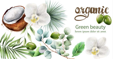 Organic products compositionのイラスト素材