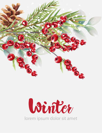 Winter cranberries with green fir tree leaves and pine coneのイラスト素材