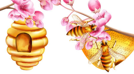 Watercolor bees building a honeycomb on sakura tree branches. Vectorのイラスト素材