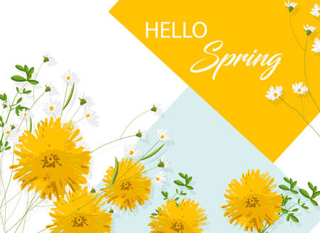 Chrysanthemum yellow flowers with white chamomile. Hello spring ideaのイラスト素材