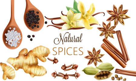 Natural spices composition with salt, black pepper, ginger, cinnamon sticks and vanilla.のイラスト素材