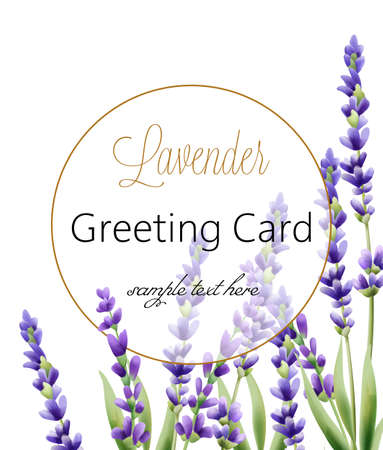Greeting card with lavender flowers and place for text. Vectorのイラスト素材