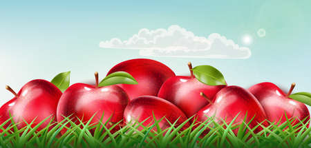 Pile of red apples laid down on the grass with clouds floating on sunny sky. Realistic 3D mockup product placementのイラスト素材